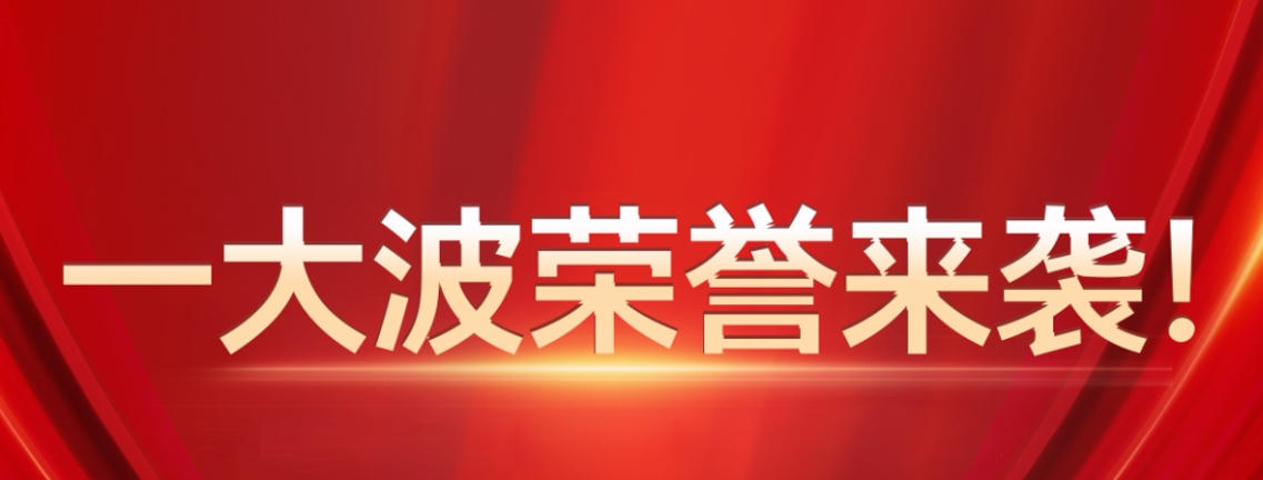 一大波荣誉来袭，一分耕耘一分收获
